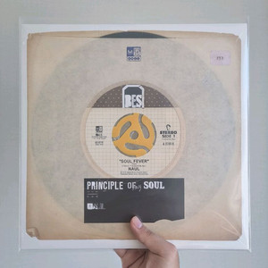 [미개봉] 나얼 - Principle Of My Soul LP / 컬러반 이미지