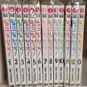 택포 핑크빛천국 13권완