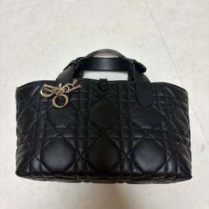 디올 뚜주흐 스몰