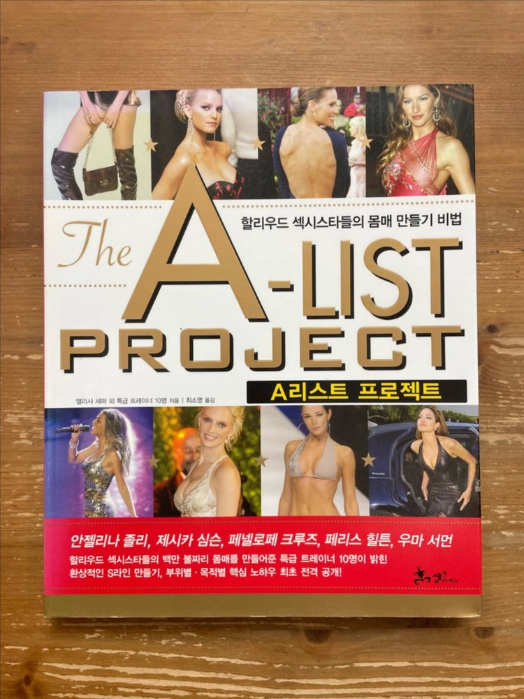 A리스트 프로젝트 - 앨리사 섀퍼 이미지