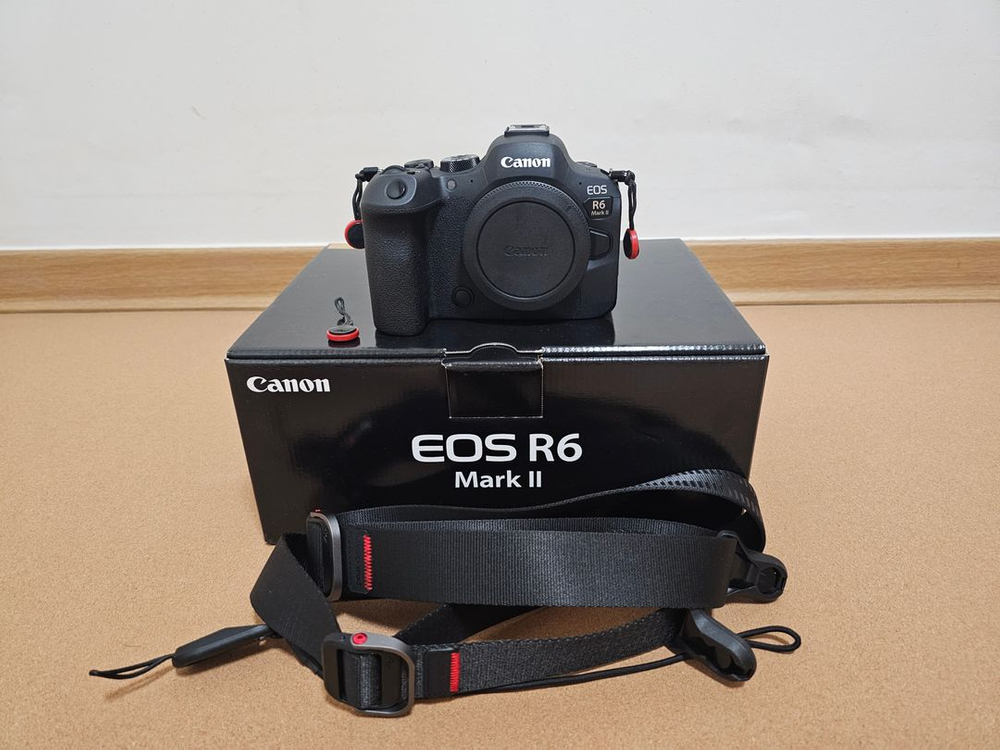 캐논 EOS R6 Mark II 미러리스 카메라(초초초 민트급)--7