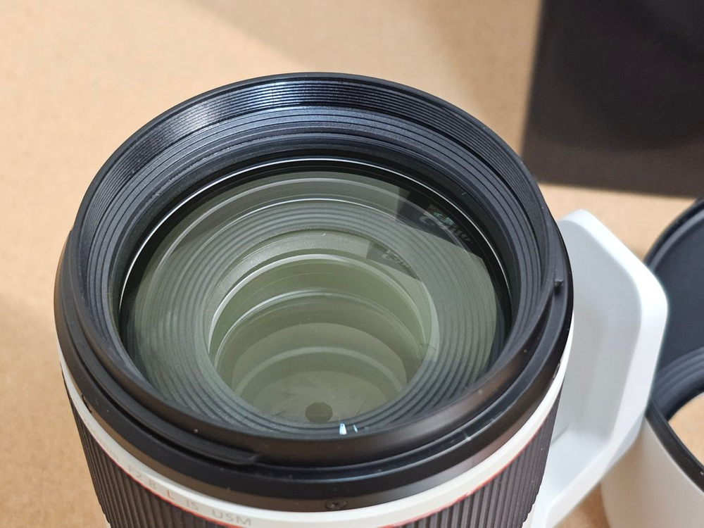 RF 70-200mm F2.8 L IS USM 렌즈(초초초민트급)--3
