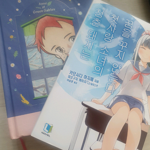 빨강머리 앤, 청춘돼지