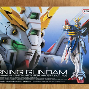 (미개봉) 반다이 RG 갓 건담