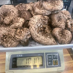 포천 방태산 야생 자연산 냉동 능이버섯