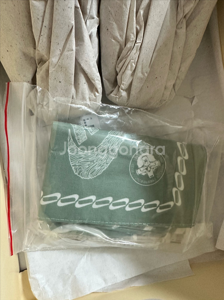 (270) 나이키 덩크로우 루티드인피스--1