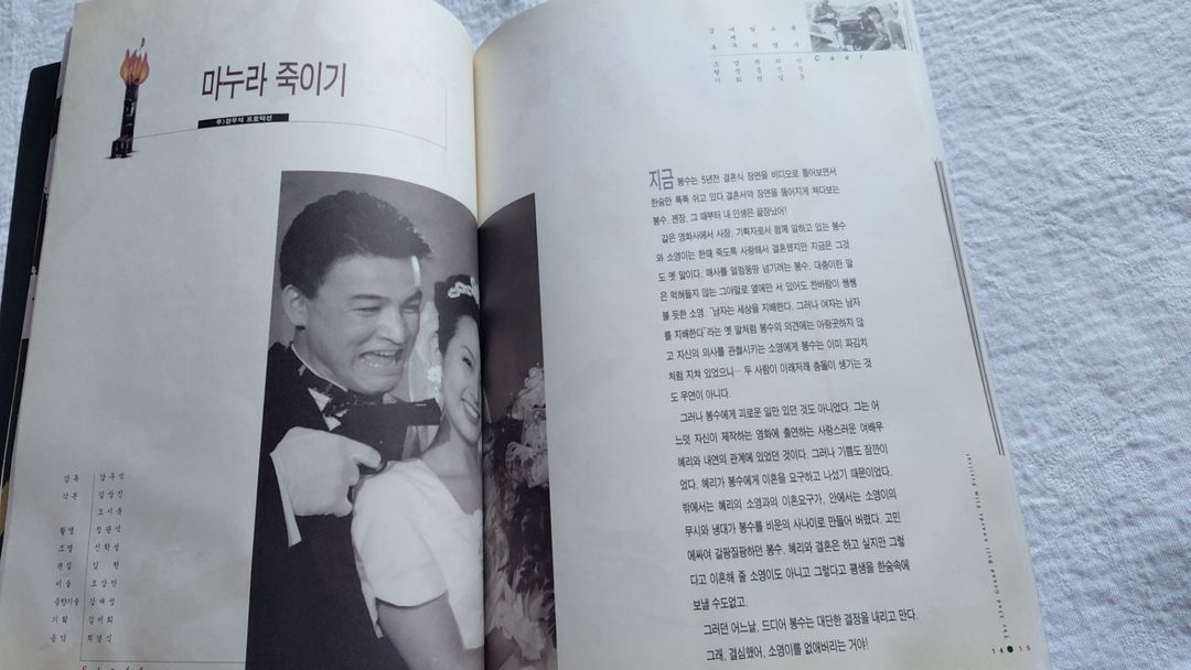 1995년 대종상 남자는 괴로워 마누라 죽이기 말미잘 소낙비 젊은 남자 태백산맥 이미지