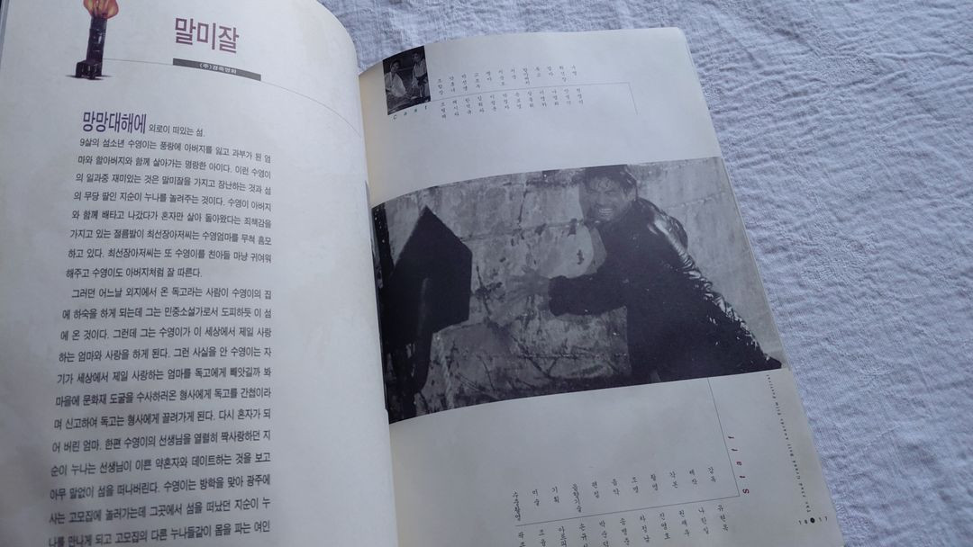 1995년 대종상 남자는 괴로워 마누라 죽이기 말미잘 소낙비 젊은 남자 태백산맥 이미지