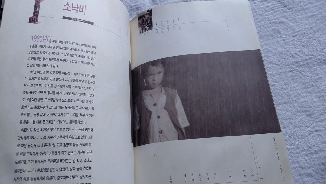 1995년 대종상 남자는 괴로워 마누라 죽이기 말미잘 소낙비 젊은 남자 태백산맥 이미지