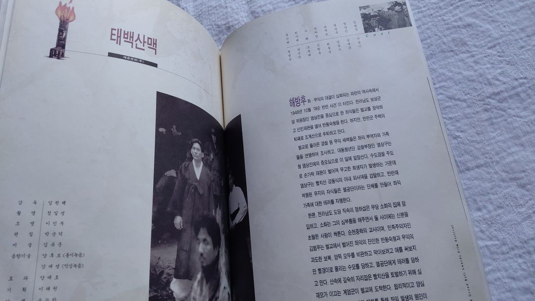 1995년 대종상 남자는 괴로워 마누라 죽이기 말미잘 소낙비 젊은 남자 태백산맥 이미지