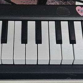 KORG 미디 키보드
