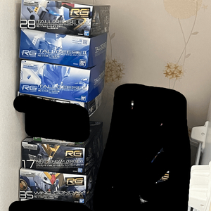 RG 건담 윙건담 시리즈 일괄 판매 프반 등