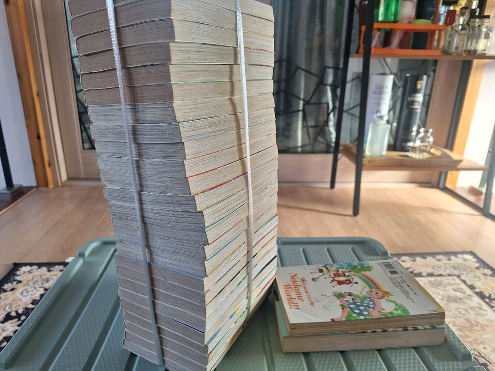 노다메 칸타빌레 25권 + 스페셜 가이드북 + 소설책 택포 44000 팝니다--1