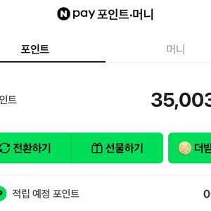 네이버페이 포인트 35,003원