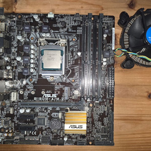 intel i7-6700 cpu, asus B150M-A/M.2 메인보드 일괄 판매