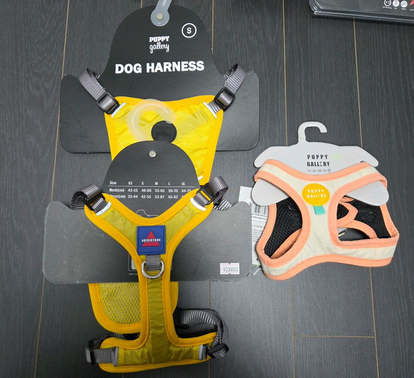 강아지 하네스,목줄,리드줄 통으로 판매합니다 :)--4