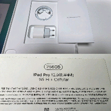 태블릿 12.9인치 셀룰러