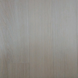 플랜츠 대 브레인로트 1.0m 이미지