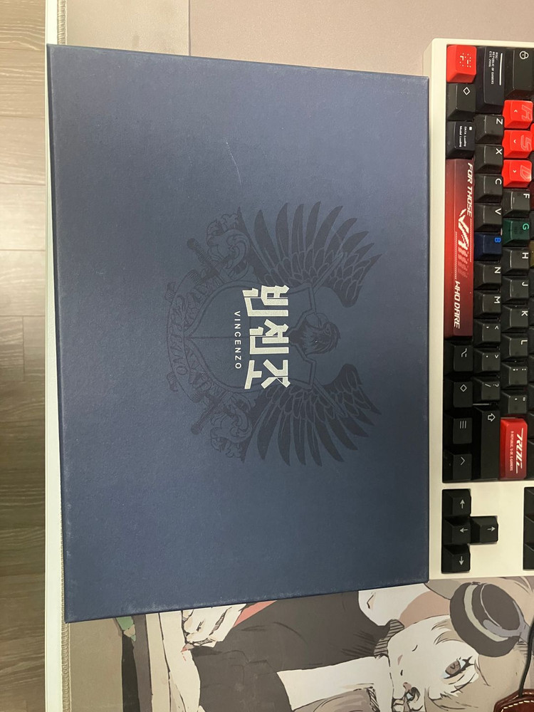 빈센조 블루레이 이미지