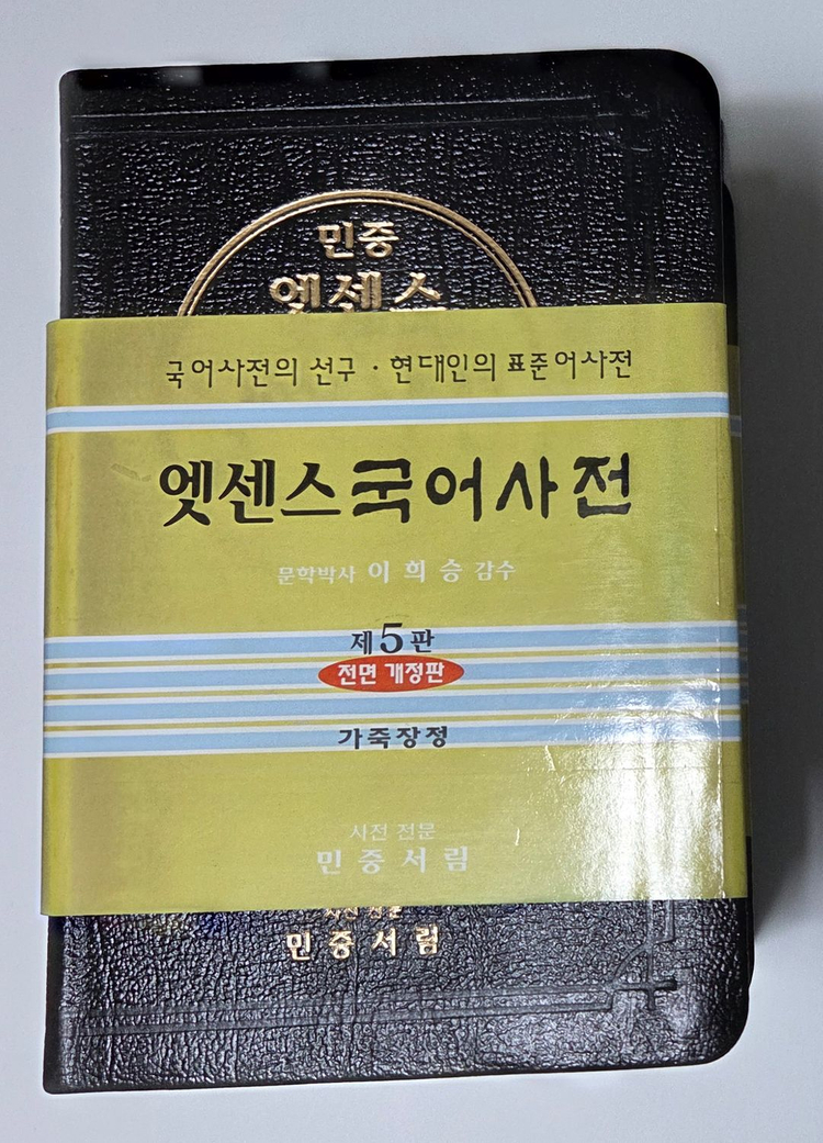 엣센스 국어사전--1