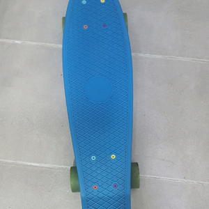 크루저 스케이트보드