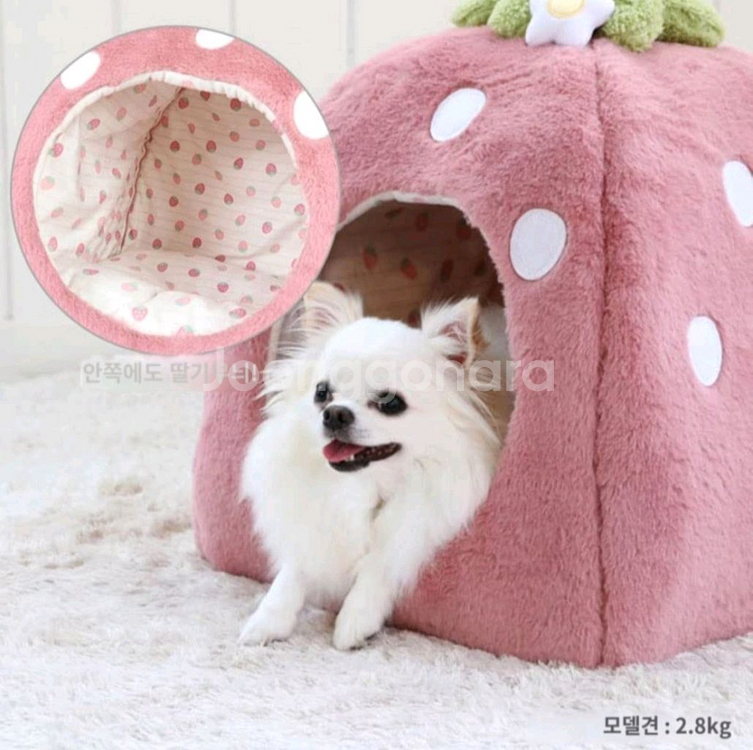 [새제품] 펫파라다이스 딸기 펫 하우스/ 소형 강아지집--1