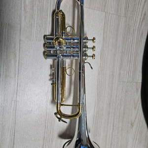 뉴욕바하트럼펫팝니다