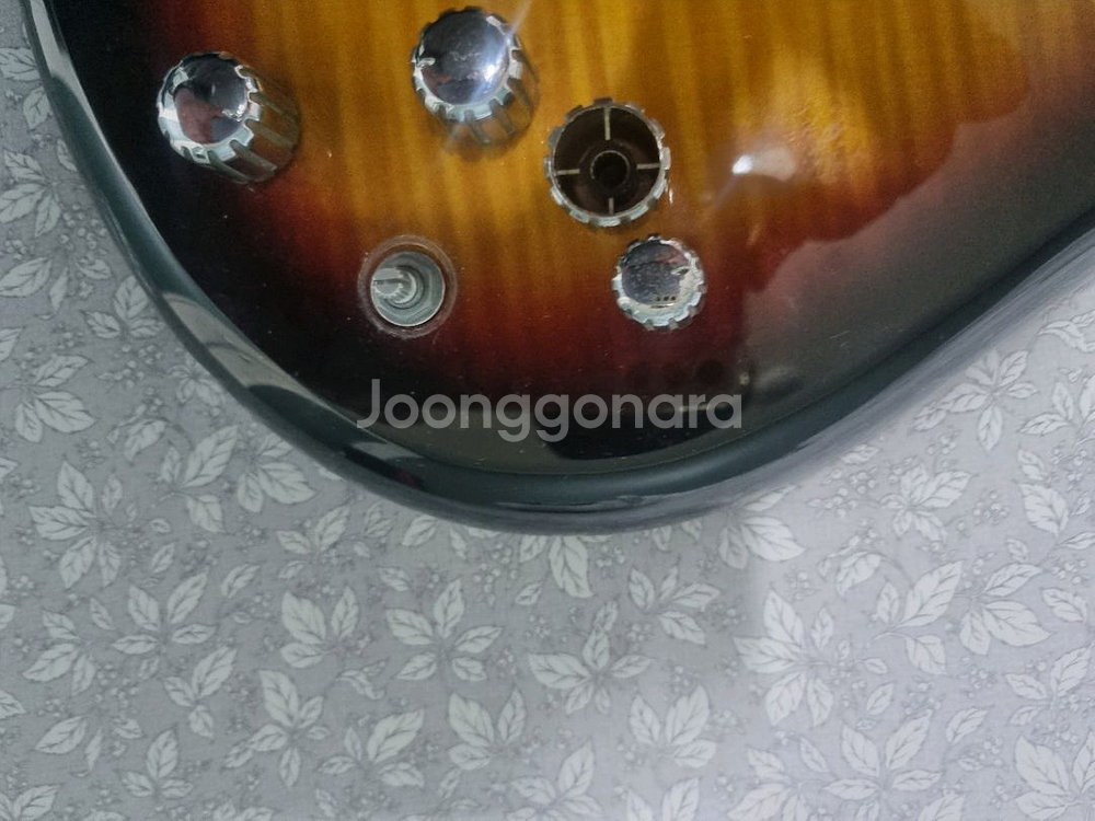 ibanez 아이바네즈 gsr200 tfb 베이스--2