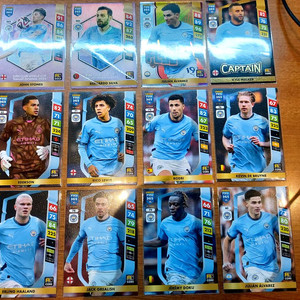 FC맨시티 홀란드 스페셜 파니니 아드레날린 트레이딩 포토카드