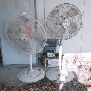 직거래만) 대형선풍기 업소용선풍기 이미지