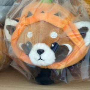 급처)에버랜드 랫서판다 레서판다 호박 머리핀 희귀템 인형 할로윈 이미지