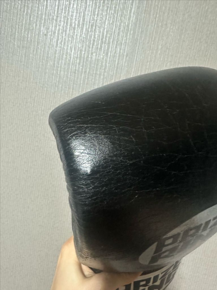 프라이즈링 복싱 글러브 14온스--2