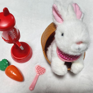 미미월드 깡총깡총 아기토끼 키우기