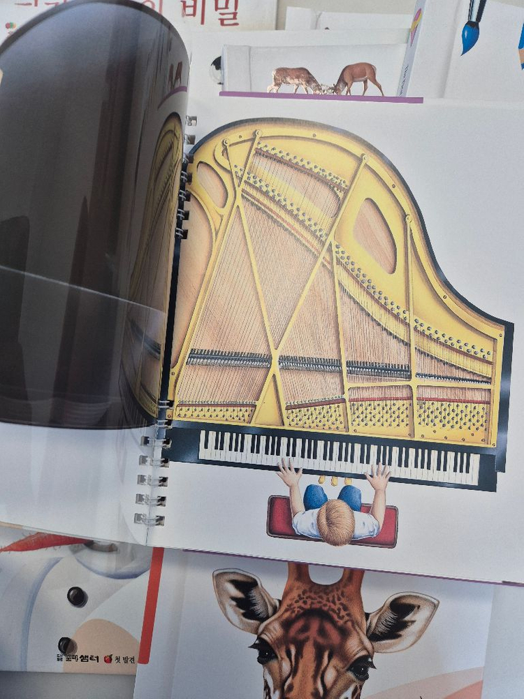 오르다 첫 발견시리즈 유아 도서--1