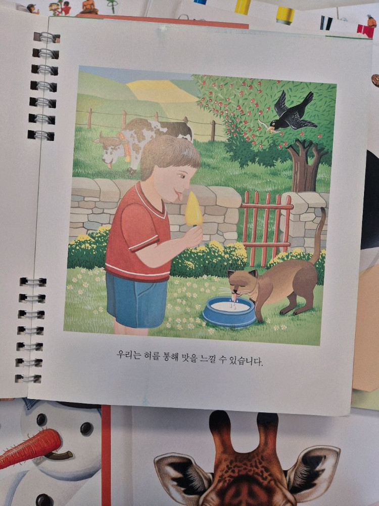 오르다 첫 발견시리즈 유아 도서--4