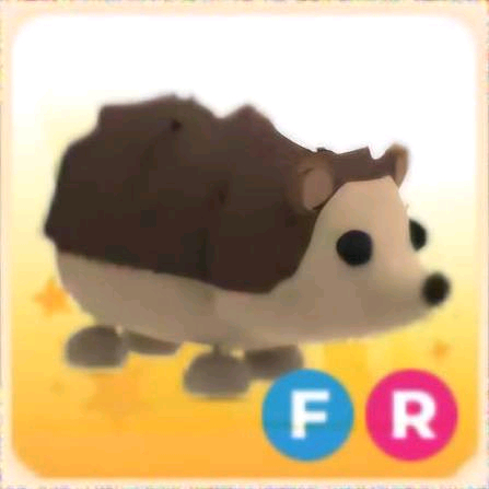 입양하세요 펫 삽니다(필독) 이미지