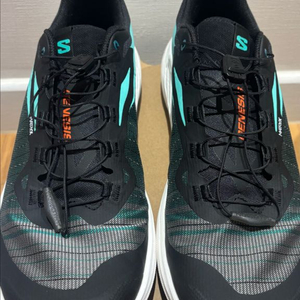 살로몬 제네시스 트레일 러닝화 290mm