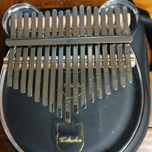 티니 아크릴 칼림바