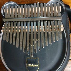 티니 아크릴 칼림바