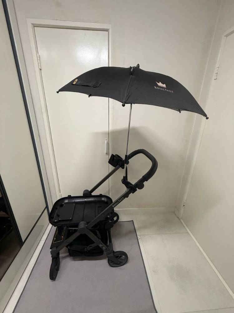 로얄테일즈 그레이스 프레임 반려차 프레임 강아지 개모차 유모차--1