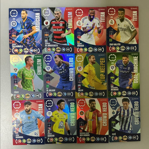 파니니 일반홀로, 클럽뱃지25개