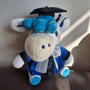 차차 충남대 졸업생 인형