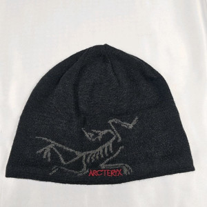 아크테릭스버드헤드토크비니