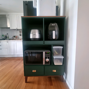 딥그린 전자렌지장