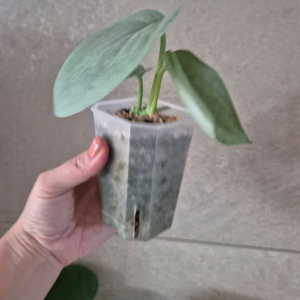 스킨답서스 히어로