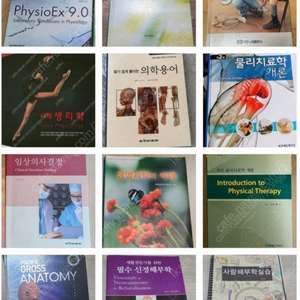 치료학과 전공책