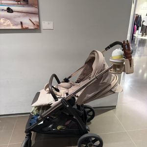 잉글레시나 앱티카 두요