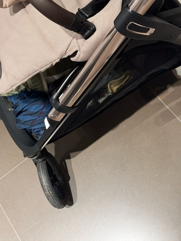 잉글레시나 앱티카 두요--1