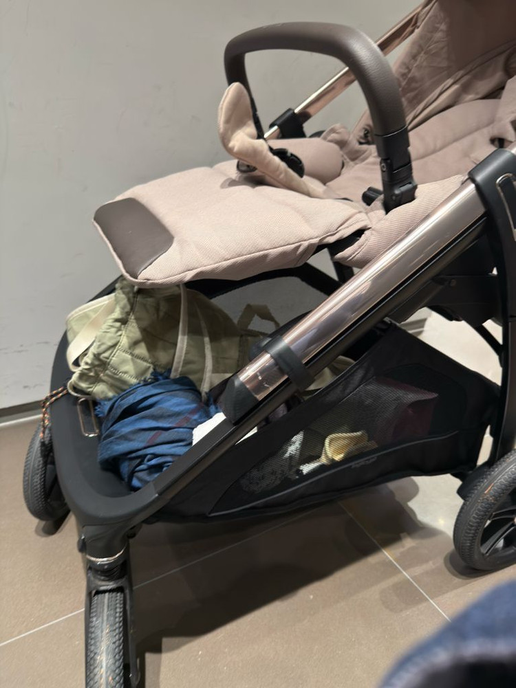 잉글레시나 앱티카 두요--2