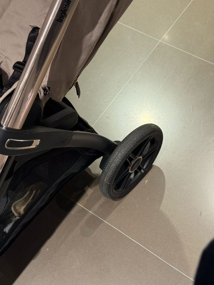 잉글레시나 앱티카 두요--3